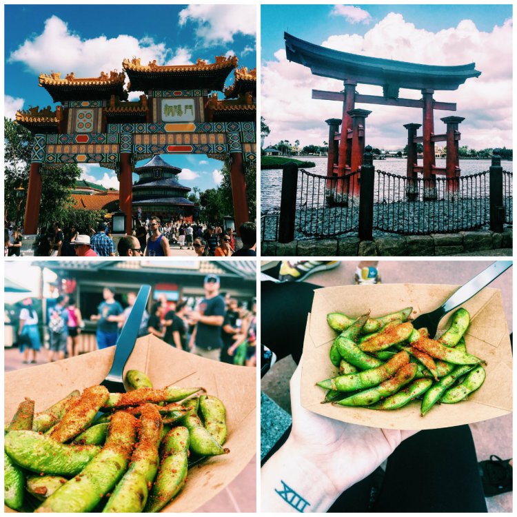 collagejapan